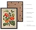Poster Master Vintage Tomato Print - Retro Botanical Poster - Fruit Art - Garden Wall Design - Gift for Men & Women - Aesthetic Decor for Office, Living Room or Kitchen - 8x10 Black Framed