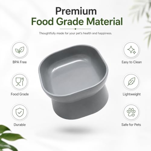 Image of Kipenzi Elevated Pet Bowl for Cats & Small Dogs | Food Grade Feeding Bowl | Raised Ergonomic Design | Stable & Easy to Clean | Modern Food & Water Bowl | Grey (Pack of 2)