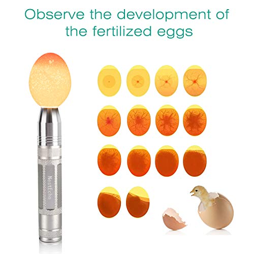 Nestecho EGG CANDLE R Tester Egg Candler Tester Candling Lamp thumb #3