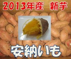 qY@󂠂@[@1F10kg@TCYFX@܂