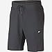 NIKE Pantalones Cortos Deportivos Optic para Hombre, Hombre, Pantalones Cortos, 928509-355, Sequoia/Heather, S