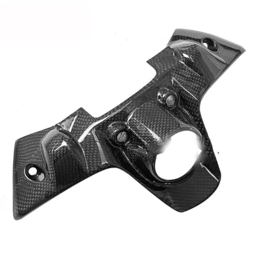 Tapa encendido fibra carbono Ducati Panigale 1299 959 accesorio rutas y concentraciones