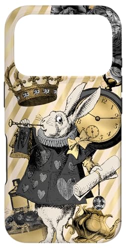 Be[W svc̍̃AX ETM Mtg db X}zP[X iPhone 17 Pro p