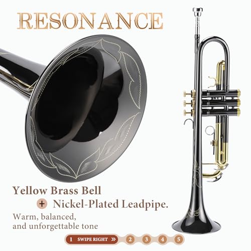 Image of ALLSET Bb Standard Trumpet Set for Beginners - Brass Trumpet Kit with Musical Instruments Case, Mouthpiece, Cleaning Cloth, Valve Brushes - Trompeta for Student Band & Orchestr (Gold & Black)