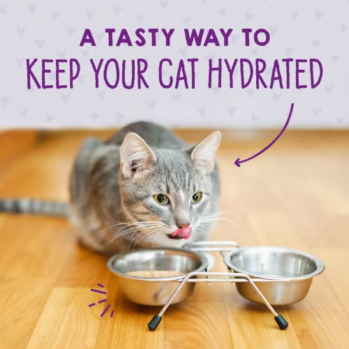 Stella & Chewy's Carnivore Cravings Purrfect Paté - Premium Grain-Free Wet Cat Food - Tuna & Pumpkin Recipe - High Protein with Bone Broth - Perfect for Picky Eaters - 5.2oz Cans (24 Pack) - image 9