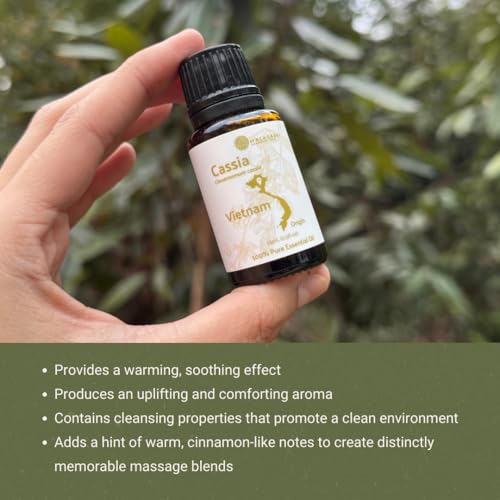 Aceite Esencial de Casia 15ml Aromaterapia miniatura 6