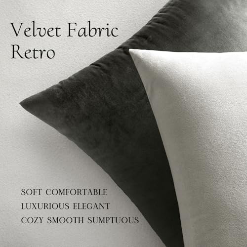 Image of MIULEE Velvet Throw Pillow Covers 22x22 Inch, Pack of 2 - Greyish White, Soft Solid Decorative Pillow Covers Cushion Cases Modern Luxury Home Decor for Spring Couch Sofa Bedroom Livingroom