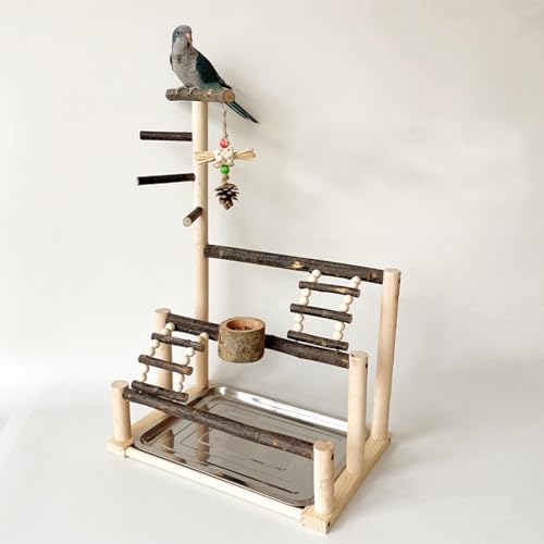 Accessoires de cage à perruches avec perchoir pour perroquet et aire de jeu