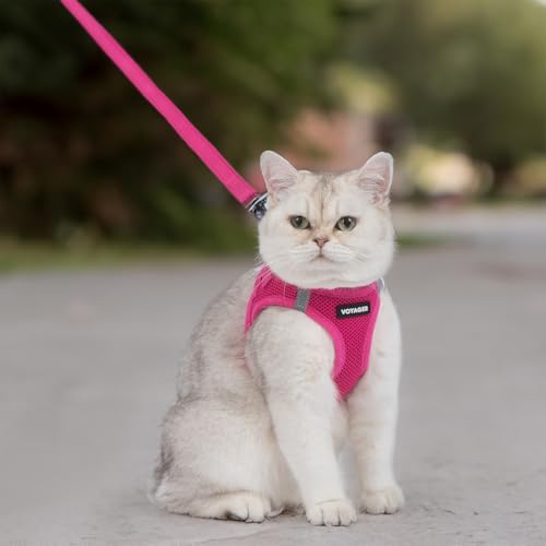 Image of Voyager Step-in Pet Harness - All Weather Mesh, Adjustable Step in Harness for Cats and Dogs by Best Pet Supplies - 307S Fuchsia, M