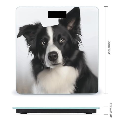 Báscula digital para baño Border Collie 400 lb miniatura 2