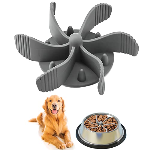 Find The Best Slow Feeder Dog Bowls Reviews & Comparison Katynel