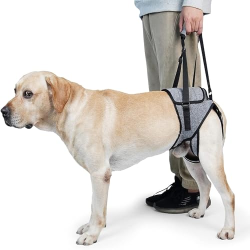 Pettorina Morbida Regolabile per Cani Disabili Feriti Artritici (XL)