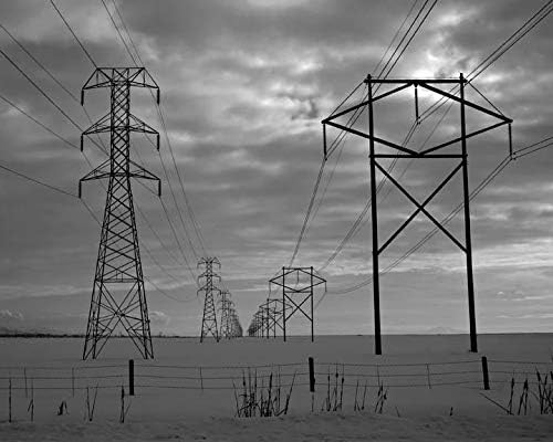 Batie Power Lines Wall Decal 29"x36"