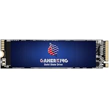 GAMERKING 256GB M.2 NVME SSD 2280 PCIe 3.0 Gen 3 x4, Internal Solid State Drive up to 2200MB/s 3D NAND Flash M Key Low Power Consumption Disk, Upgrade Storage for Desktop, Laptop