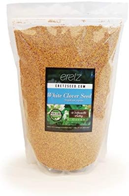 White Clover Seed by Eretz - Premium Willamette Valley, Oregon Grown Non-GMO Seeds, No Coatings, No Weed Seeds (3lb)