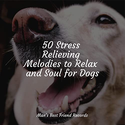 Play 50 Stress Relieving Melodies to Relax and Soul for Dogs by Deep