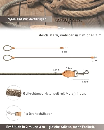 LeileiPaws Tauleine Hund – Nylon Hundeleine für kleine, mittelgroße & große Hunde – hundeleine leicht mit Schlaufe für kleinere Hunde, robuste Hundeleine große Hunde(Khaki, 2m x 0.8cm)
