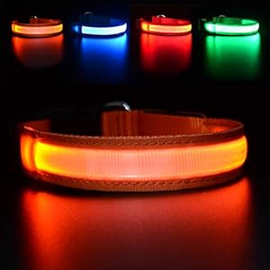 USB Rechargeable Light Up Dog Collar
