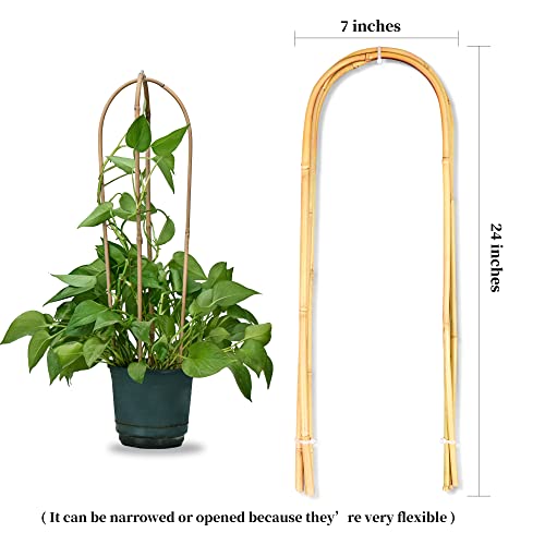 Fleebambu BT2 Natural Bamboo Plant Trellis, Garden Trellis thumb #1