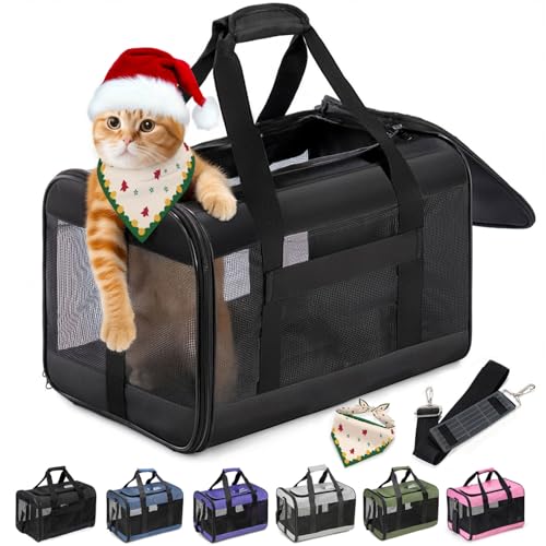 Conlun Cat Carrier Airline Approved, Soft-Sided Dog Carrier with Inner Safety Leash, Pet Transport Carrier for Small-Medium Cats Puppies up to 15 Lbs, Collapsible Travel Kitten Carrier Bag -BlackM