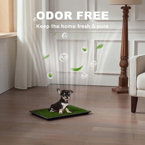 Image of HQ4US 4LEGS Dog Grass Pad with Tray Small 23 inch x 16 inch, Dog Puppy Litter Box with Odor Free Artificial Grass Pee Pads for Dogs Potty Tray with Hemmed Edge, Realistic for Indoor Balcony