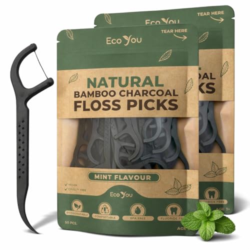 Biodegradable Mint Floss Picks (100 Count 2 Pack)
