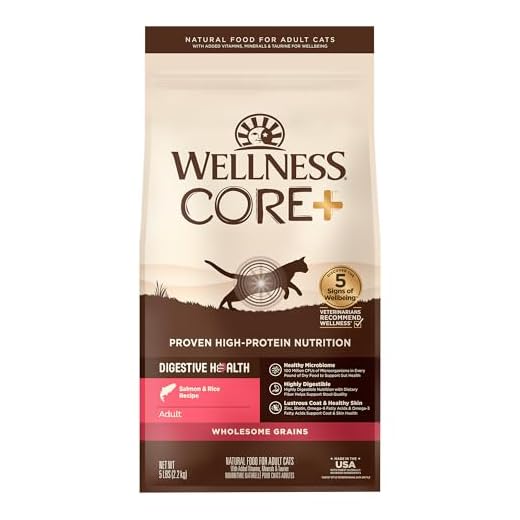Wellness CORE+ Digestive Health Adult Dry Cat Food, Natural, Wholesome Grains Kibble, Salmon and Rice Recipe, 5 lb Bag