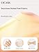 OEAK Tummy Control Shapewear for Women Seamless Girdle High Waisted Body Shaper Underwear Panty Smooth Under Dress Shapewear Nude Shorts S