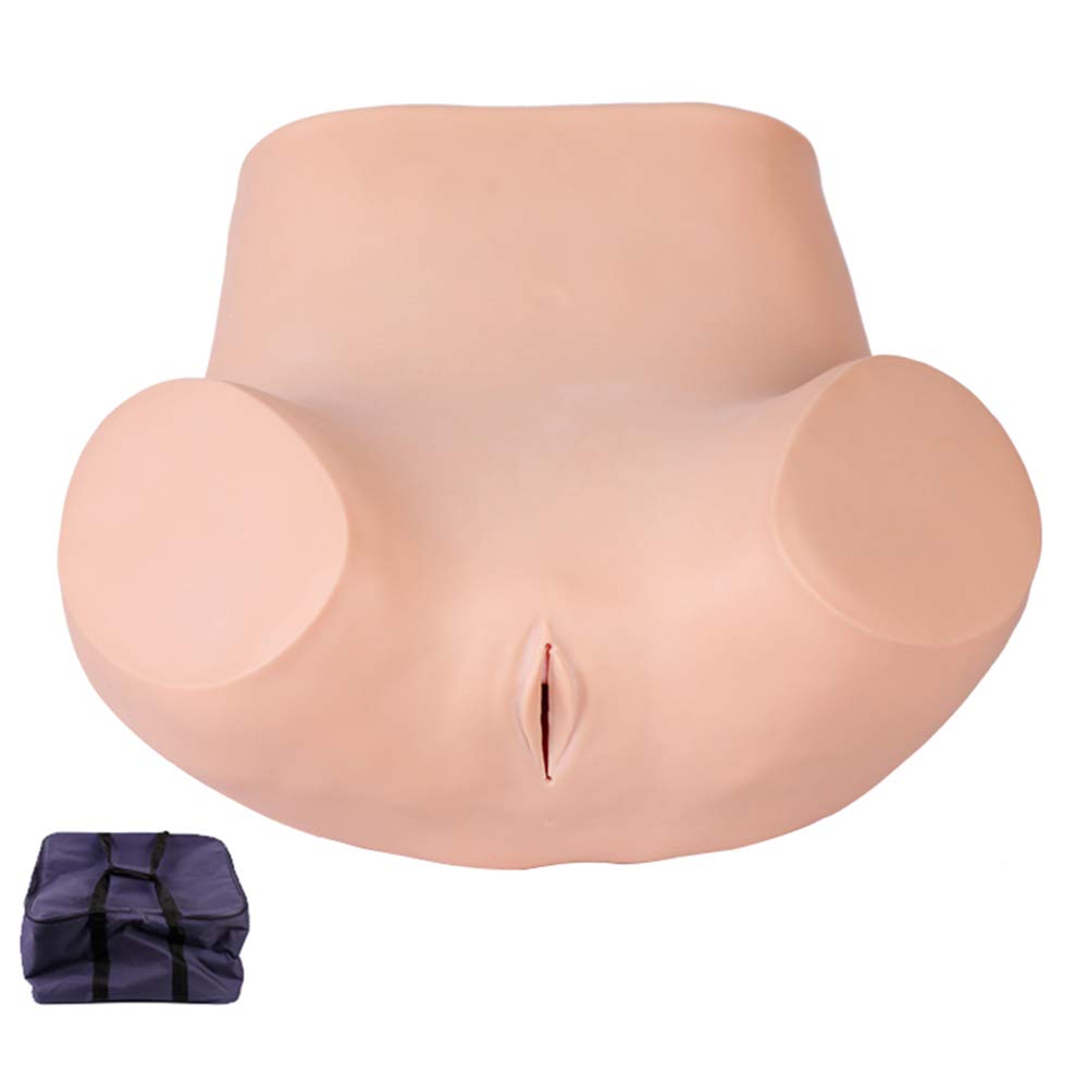 Sjdopulse Women's Check Model - Manikin Teaching Model Gynecology Internal Consultation Training Model - Maternal Infant Training Uterine Palpation And Inspection