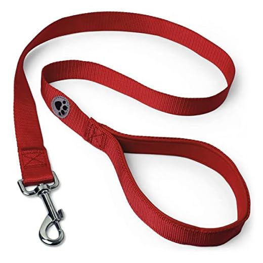 Gepolsterte Hundeleine iGadgitz 1m Rot