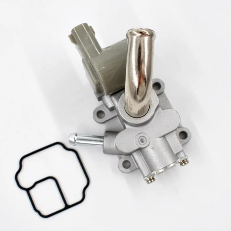 稀！屋久杉 つる付き盛り皿オブジェ 和風モダン 世界遺産 飾り皿