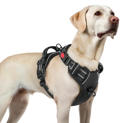 rabbitgoo Dog Harness for Large, No Pull Pet Harness with 3 Buckles, Adjustable Soft Padded Vest with Control Handle, Walking Reflective Pet Vest for Large Dogs, Black, L