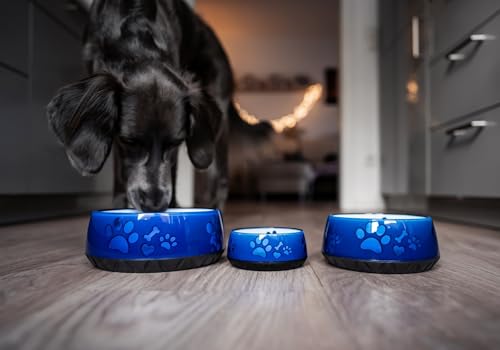 Hundenapf für Kleine und Große Hunde, Futter- und Trinknapf S/M/L Rutschfest (S 330ml, Blau)