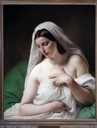 Tableau Odalisque Francesco Hayez décoration murale salon et bureau art moderne 60x90cm