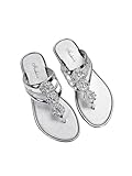 Floerns Women's Flat Sandals Flip Flop Sandals Summer Slip on Dressy Thong Sandal Silver 6.5
