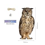 Zoom IMG-1 gufo scaccia piccioni da balcone Zoom IMG-1 gufo scaccia piccioni da balcone