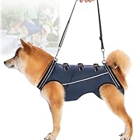 Amazon | GIIPET-犬用介護ハーネス 犬 介護用ハーネス 歩行補助 老犬