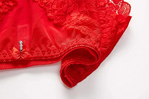 Confonze Lace Underwear For Women Sexy Floral Lace Panties Mesh Hipster High Waist Briefs (Red-8009, Large) #TOP6