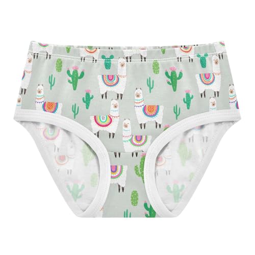 Cute Llamas Alpaca Toddler Girls's Underwear 2T 202c1291
