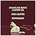 SheaMoisture Conditioner 100% Pure Jamaican Black Castor Oil to Intensely Smooth and Nourish Hair with Shea Butter, Peppermint and Apple Cider Vinegar 13 oz
