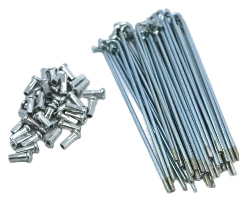 ]ԃX`[X|[NA]ԃX|[NA d]ԗpX|[N a2.5mm 56-240mm jbvt 37Zbg(214mm)