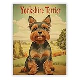 Druck-Palast Yorkshire Terrier Poster - 30x40cm - 