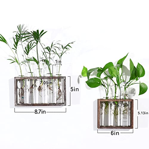 Kingbuy Wall Mounted Hanging Glass Planter Plant Terrarium Modern Flower Vase In Wood Stand Rack Tabletop Terrarium With Test Tube And Glass Planter Bulb Vase With Retro Solid Wooden Stand #TOP4
