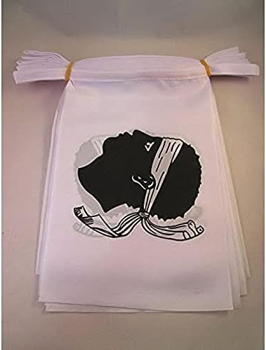 Guirlande 6 Mètres, 20 Drapeaux Basse-Normandie – 21x15 Cm, AZ FLAG, Neuf