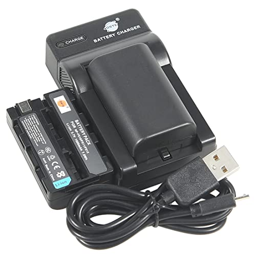 DSTE 2X NP-FS11 Li-Ion Batería Traje y Cargador Micro USB Compatible con Sony NP-FS10 NP-FS12 DCR-PC1 DCR-PC2 DCR-PC3 DCR-PC4 DCR-PC5 DCR-TRV1VE caméra