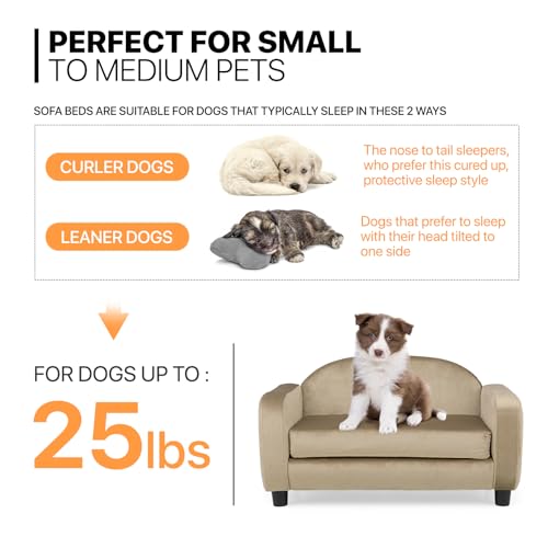 MoNiBloom Sofá para animais de estimação para cães e gatos pequenos, sofá-cama luxuosa de veludo par