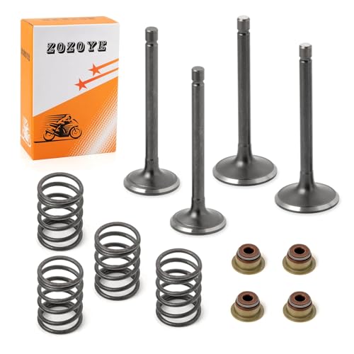 Image of Fugi Robbin 295cc 350cc Exhaust & Intake Valve & Seals Springs For EZGO 4 Cycle Gas Golf Cart MCI 2003-2008 (NO 1992-2002) 72857-G01 72507-G01