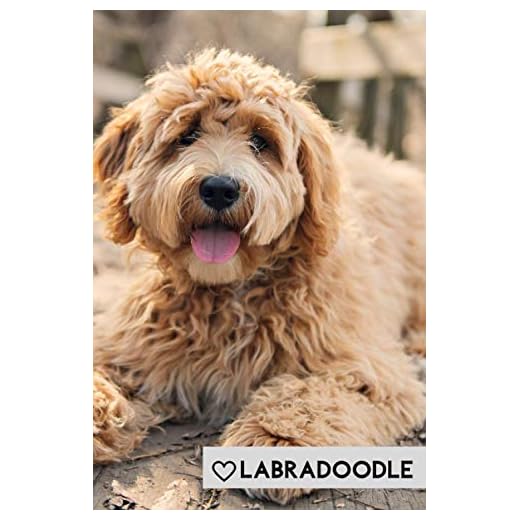 Labradoodle: Perfect for Notes, Memories and Planning (Journal, Diary), 100 Blank Lined Pages (6x9)