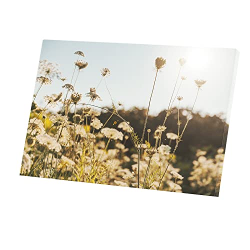 Tableau Décoratif Daucus Carota en Fleur, Photo Contre-Jour Toile 90x60cm