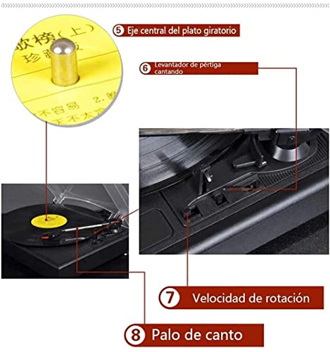 Tourne-Disque, Gramophone, Tourne-Disque Bluetooth à Trois Vitesses 18/25/30 cm Tourne-Disque Vinyle Vintage avec S… - Les Beatles, Paul McCartney, John Lennon, RIngo Starr, George Harrison Tourne-Disque, Gramophone, Tourne-Disque Bluetooth à Trois Vitesses 18/25/30 cm Tourne-Disque Vinyle Vintage avec S… – Image 7